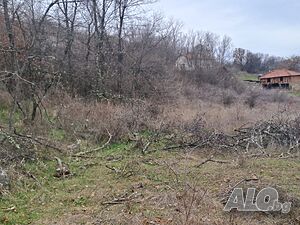 Парцел в регулация Sale 1000 sq. m. Regulated (RLE) With electricity Water pipe | Land for development, Investment projects | Selishte