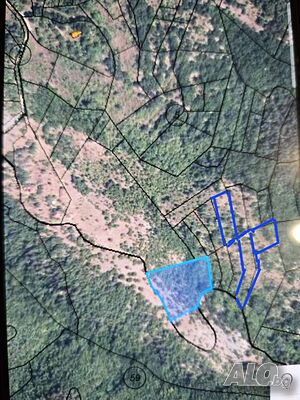 Продавам земеделска земя в с. Ваксево, област Кюстендил Agricultural land 10849 sq. m. Ninth category | Agricultural land, Orchards, Vineyards, Forests | Местност Сипело Vaksevo