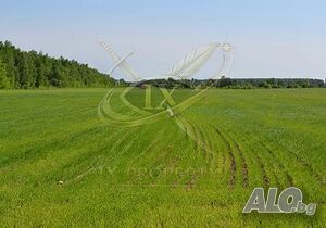 Земеделска земя - с. Гълъбец, област Бургас Agricultural land 4693 sq. m. Not specified | Agricultural land, Orchards, Vineyards, Forests | Galabets