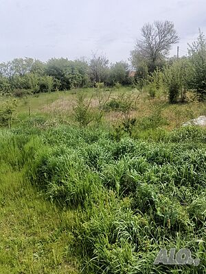 578-Продава се парцел с площ от 1879 кв.м. в с. Подайва Sale 1879 sq. m. Regulated (RLE) Without electricity Without water | Land for development, Investment projects | Podayva