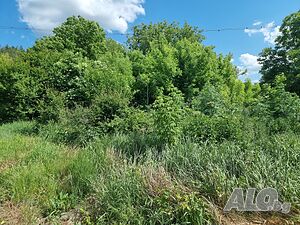 459-Продава се парцел от 1740 кв.м. в село Балкански! Sale 1740 sq. m. Regulated (RLE) With electricity Water pipe | Land for development, Investment projects | Balkanski