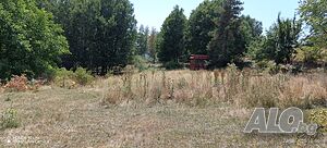 Продавам парцел на Пампорово - Поповото. 🌲 Sale 5454 sq. m. Regulated (RLE) With electricity Water pipe | Land for development, Investment projects | Levochevo