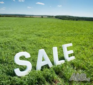 ✨ Къща с Голям Парцел на Централно Място в с. ДОБРИЧ, ОБЛ. ХАСКОВО ✨ Sale 980 sq. m. Regulated (RLE) With electricity Own water source | Land for development, Investment projects | Dobrich