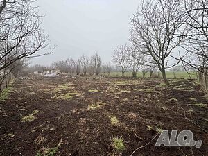 Продава парцел с. Михайлово 1 - storey 90 sq. m. built-up area 1430 sq. m. courtyard | Houses / Villas | Mihaylovo