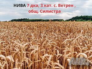 Продава се земеделска земя 7 дка, 3 кат. - с. Ветрен, общ. Силистра, местност „Царска Милост“ Agricultural land 7003 sq. m. Third category | Agricultural land, Orchards, Vineyards, Forests | Царска милост Vetren