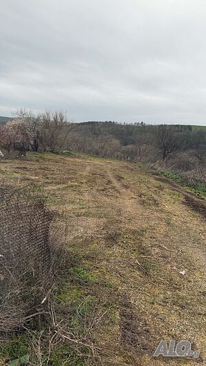 Продава се парцел/имот Sale 784 sq. m. Regulated (RLE) Without electricity Without water | Land for development, Investment projects | Пъстрогор Svilengrad