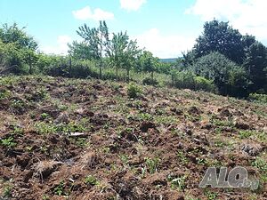 Урегулиран парцел на 4км от морето Sale 1480 sq. m. Regulated (RLE) Without electricity Without water | Land for development, Investment projects | Izgrev