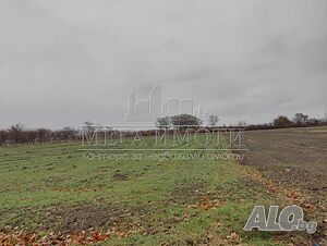 Земеделска земя 5000 кв.м Не е посочено Agricultural land 5000 sq. m. Not specified | Agricultural land, Orchards, Vineyards, Forests | Samuilovo