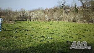 УПИ 1300квм Sale 1300 sq. m. Regulated (RLE) With electricity Water pipe | Land for development, Investment projects | Център Malorad