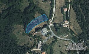 ПОЗЕМЛЕН ИМОТ в село Глогино общ. Баните Agricultural land 2124 sq. m. Ninth category | Agricultural land, Orchards, Vineyards, Forests | Glogino