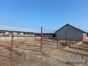 Промишлен имот/животновъдна ферма разположен в с. Каснаково Industrial premises 1095 sq. m. | Warehouses, industrial and agricultural properties  | Kasnakovo