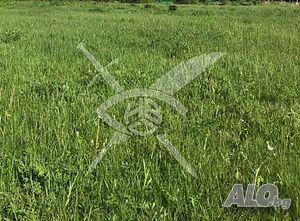 Парцел в Ново село 87560 Sale 1919 sq. m. Regulated (RLE) With electricity Water pipe | Land for development, Investment projects | Novo selo