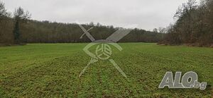 Парцел в с. Деветинци Sale 12000 sq. m. Not regulated Without electricity Without water | Land for development, Investment projects | Devetintsi