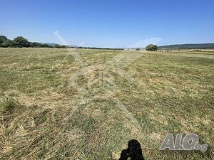 Парцел в с. Белила Sale 2190 sq. m. Not regulated Without electricity Without water | Land for development, Investment projects | Belila