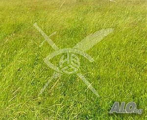 Парцел в Крислово Sale 1000 sq. m. Regulated (RLE) Without electricity Without water | Land for development, Investment projects | Krislovo