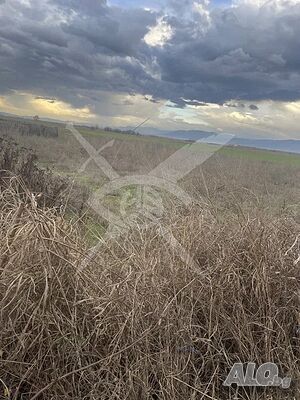 Парцел в Крислово Sale 3000 sq. m. Not regulated Without electricity Without water | Land for development, Investment projects | Krislovo