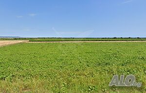 Парцел в Карагеоргиево Sale 2795 sq. m. Not regulated Without electricity Without water | Land for development, Investment projects | Karageorgievo