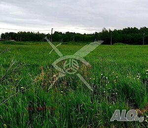 Парцел в Малина Sale 1000 sq. m. Regulated (RLE) With electricity Water pipe | Land for development, Investment projects | Malina