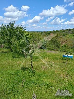 Дворно място с постройка за събаряне или ремонт в село Белила 95944 Sale 2190 sq. m. Regulated (RLE) With electricity Water pipe | Land for development, Investment projects | Belila