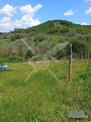 Парцел с къща за събаряне или ремонт в село Белила Sale 1710 sq. m. Regulated (RLE) With electricity Water pipe | Land for development, Investment projects | Belila