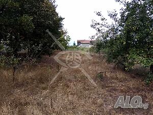 Парцел в село Крушевец Sale 651 sq. m. Regulated (RLE) Without electricity Without water | Land for development, Investment projects | Krushevets