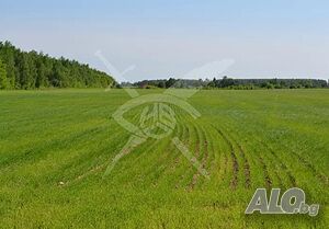Парцел за строителство в Съединение 95344 Sale 28000 sq. m. Not regulated Without electricity Without water | Land for development, Investment projects | Saedinenie