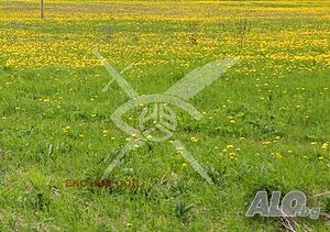 Парцел в с. Караново Sale 31200 sq. m. Not regulated Without electricity Without water | Land for development, Investment projects | Karanovo