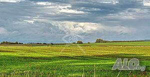 Парцел в село Терзийско 82354 Sale 20000 sq. m. Not regulated Without electricity Without water | Land for development, Investment projects | Terziysko