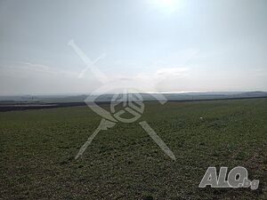 Парцел в село Венец 95593 Sale 4500 sq. m. Not regulated Without electricity Without water | Land for development, Investment projects | Venets