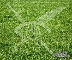 Продава се парцел до хижа Здравец! Sale 2583 sq. m. Not regulated With electricity Water pipe | Land for development, Investment projects | Zdravets