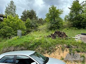 Парцел в с. Баните Sale 592 sq. m. Not regulated Without electricity Without water | Land for development, Investment projects | Banite