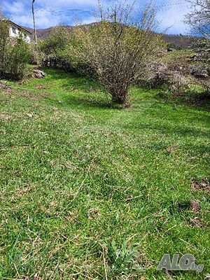 Парцел в Белица Sale 1050 sq. m. Not regulated With electricity Without water | Land for development, Investment projects | Belitsa