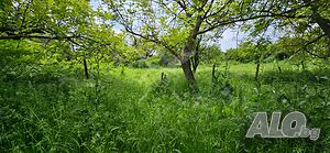 УПИ в с. Отец Паисиево! Sale 650 sq. m. Regulated (RLE) With electricity Water pipe | Land for development, Investment projects | Otets Paisievo