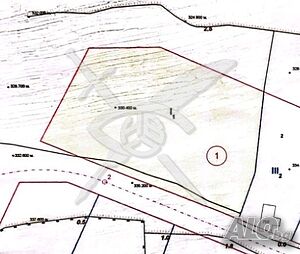 Парцел в с. Зетьово! Sale 3000 sq. m. Regulated (RLE) With electricity Water pipe | Land for development, Investment projects | Zetyovo