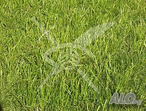 Парцел в Страцин! Sale 7440 sq. m. Not regulated Without electricity Without water | Land for development, Investment projects | Stratsin