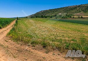 Парцел за строителство в Медово! Sale 17169 sq. m. Not regulated Without electricity Without water | Land for development, Investment projects | Medovo