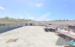 Къща със собствена ферма в село Дрянковец 1 - storey 700 sq. m. built-up area 3000 sq. m. courtyard | Houses / Villas | Dryankovets