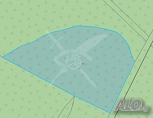 Парцел в село Голямо Буково Sale 4745 sq. m. Not regulated Without electricity Without water | Land for development, Investment projects | Golyamo Bukovo