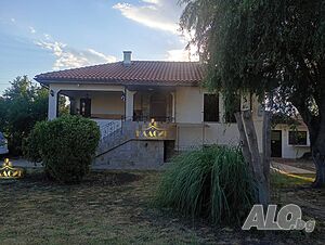 Съвременна градска къща с обзавеждането 2 - storey 126 sq. m. built-up area 950 sq. m. courtyard | Houses / Villas | Straldzha