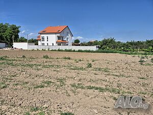 Парцел в село Ивайло Sale 965 sq. m. Regulated (RLE) Without electricity Water pipe | Land for development, Investment projects | Ivaylo