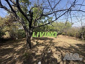 Упи! Белащица! Панорамна гледка! Sale 820 sq. m. Regulated (RLE) | Land for development, Investment projects | Brestnik