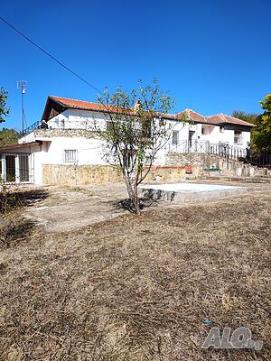 Продажба на обзаведена, двуетажна къща в Лесово, на 25 км от Елхово 2 - storey 332 sq. m. built-up area 3175 sq. m. courtyard | Houses / Villas | Lesovo