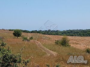 Ниа Пропърти Груп продава земеделска земя в с. Лозенец Agricultural land 5000 sq. m. | Agricultural land, Orchards, Vineyards, Forests | Lozenets