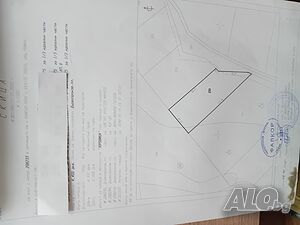 Продавам гора Forest 3000 sq. m. Not specified | Agricultural land, Orchards, Vineyards, Forests | Зоровица Kameno pole