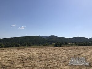 Продавам парцел 3600 кв.м в Минерални бани, Хасково. Sale 3600 sq. m. Regulation pending With electricity Water pipe | Land for development, Investment projects | Mineralni bani