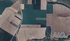 Собственик продава нива 13 дка Силистра, община Дулово Agricultural land 13000 sq. m. Third category | Agricultural land, Orchards, Vineyards, Forests | Polkovnik Taslakovo