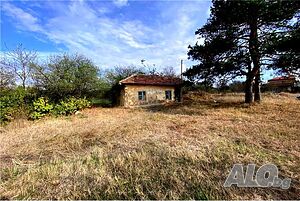 Къща за продажба в с. Малък Поровец, обл. Разград 1 - storey 40 sq. m. built-up area 1205 sq. m. courtyard | Houses / Villas | Malak Porovets