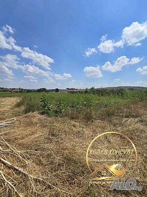Продавам парцел, с. Каснаково Sale 2540 sq. m. Regulated (RLE) Without electricity Without water | Land for development, Investment projects | Kasnakovo