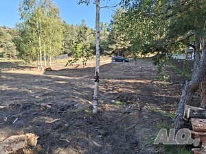 Имот курорт Цигов Чарк Sale 1270 sq. m. Regulated (RLE) Without electricity Without water | Land for development, Investment projects | Курорт Цигов Чарк Batak