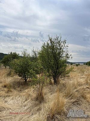 Продажба 1600 кв. м Sale 1600 sq. m. Regulated (RLE) | Land for development, Investment projects | Belovitsa